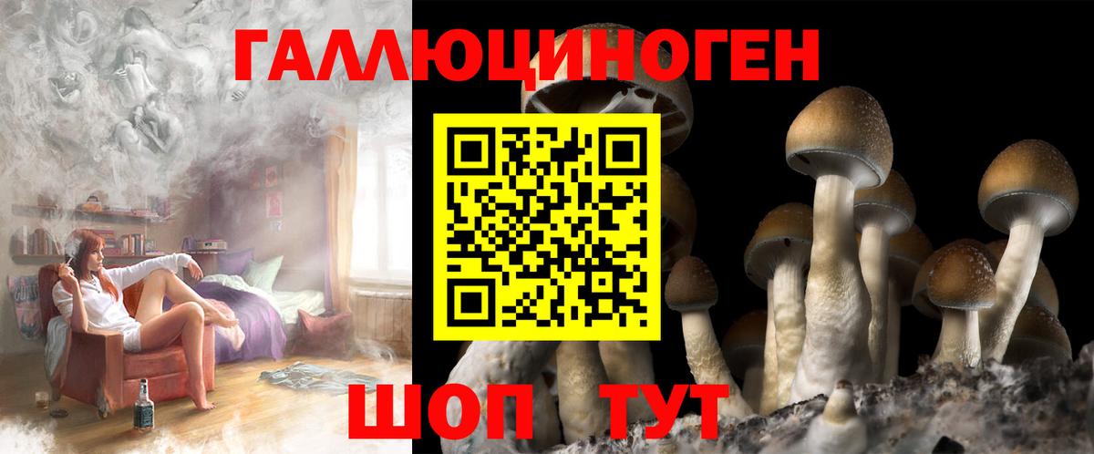 Галлюциногенные грибы прущие грибы Краснодар