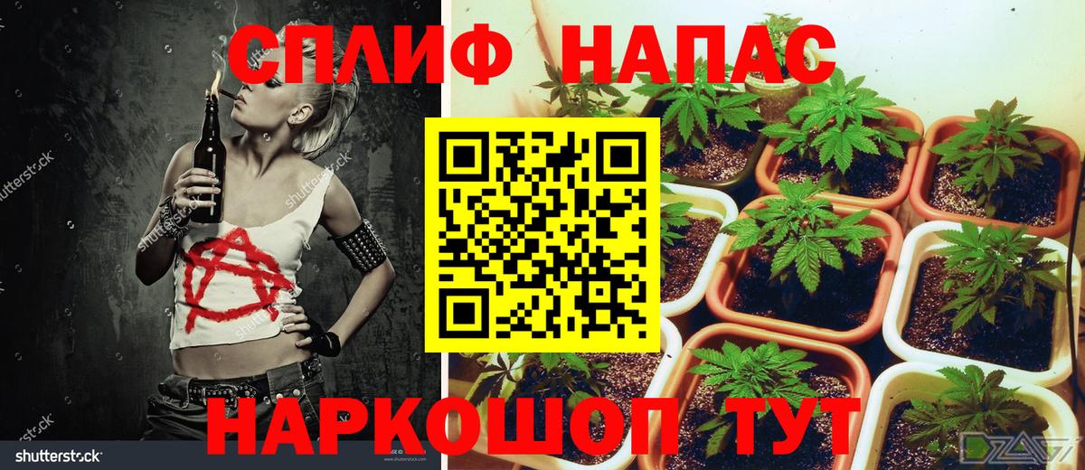 Бошки марихуана конопля Краснодар